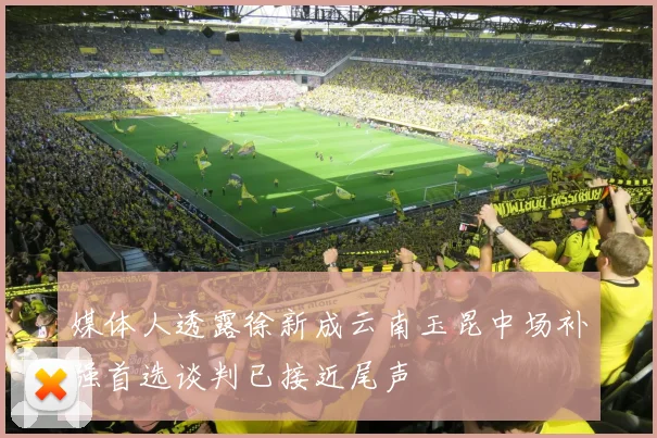 媒体人透露徐新成云南玉昆中场补强首选谈判已接近尾声